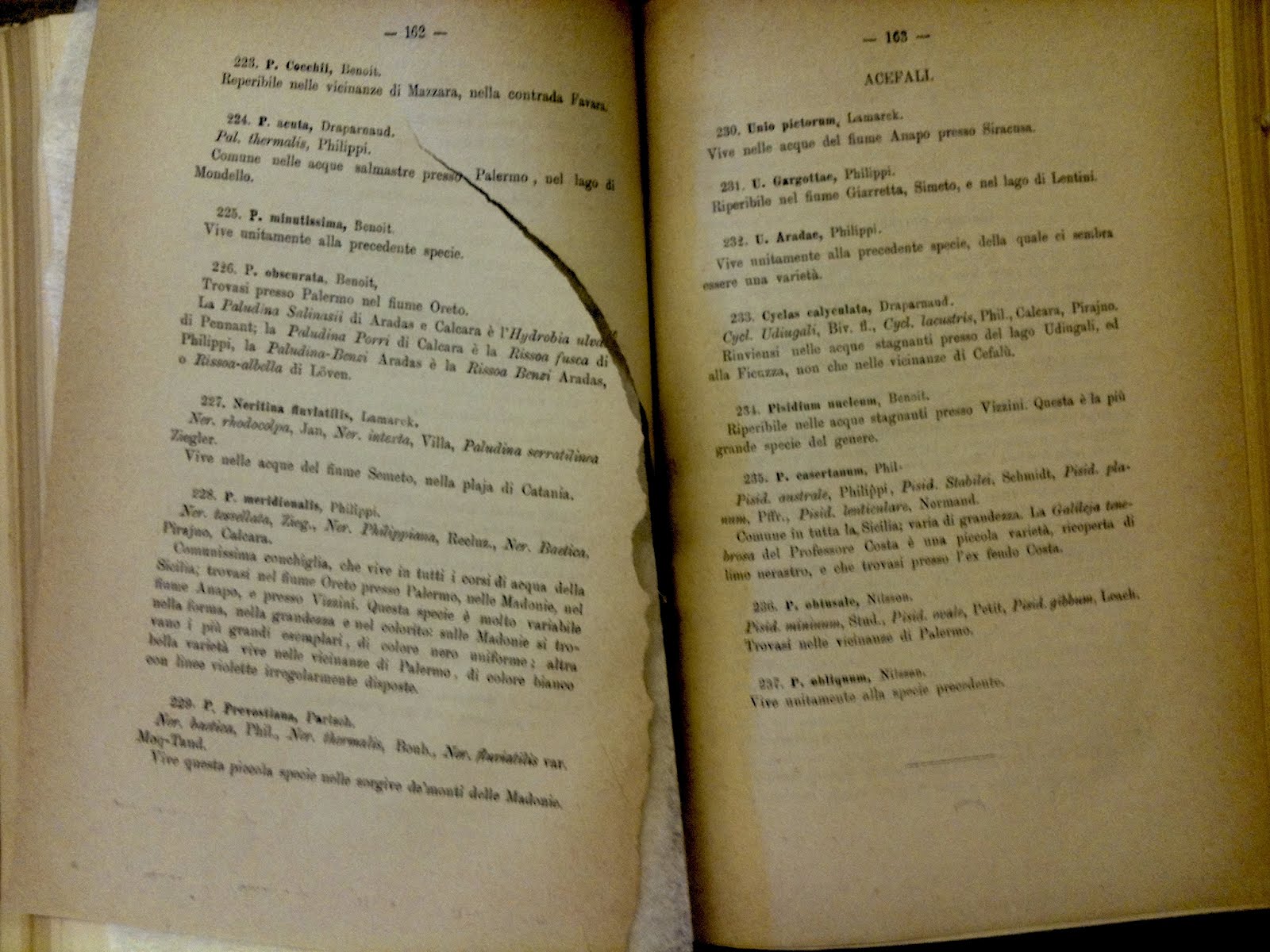 View Full Size Image