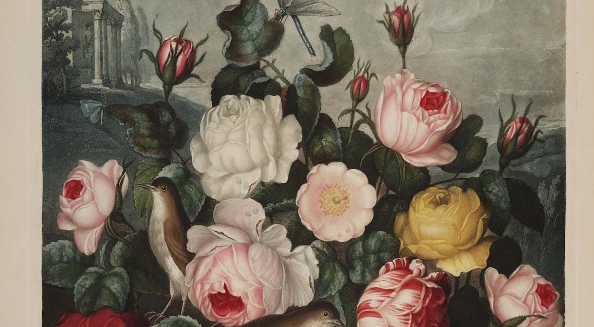 Read the full blog post