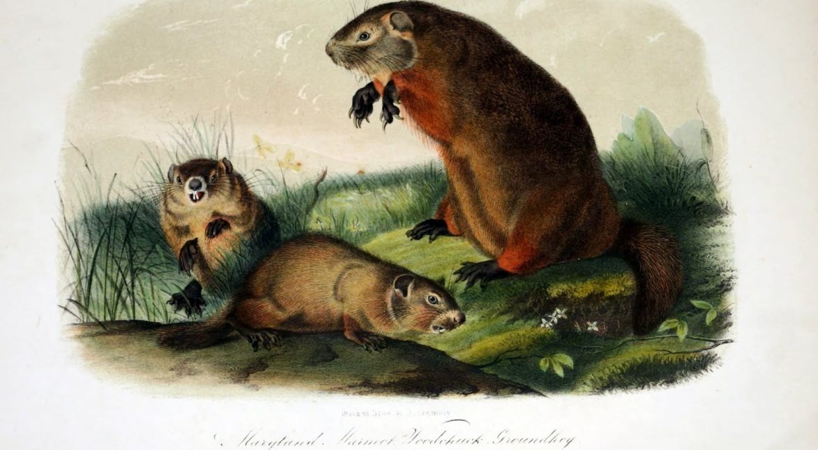 Read the full blog post