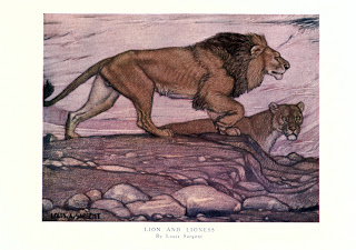 View Full Size Image