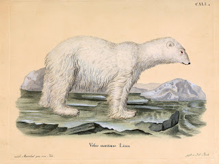 View Full Size Image