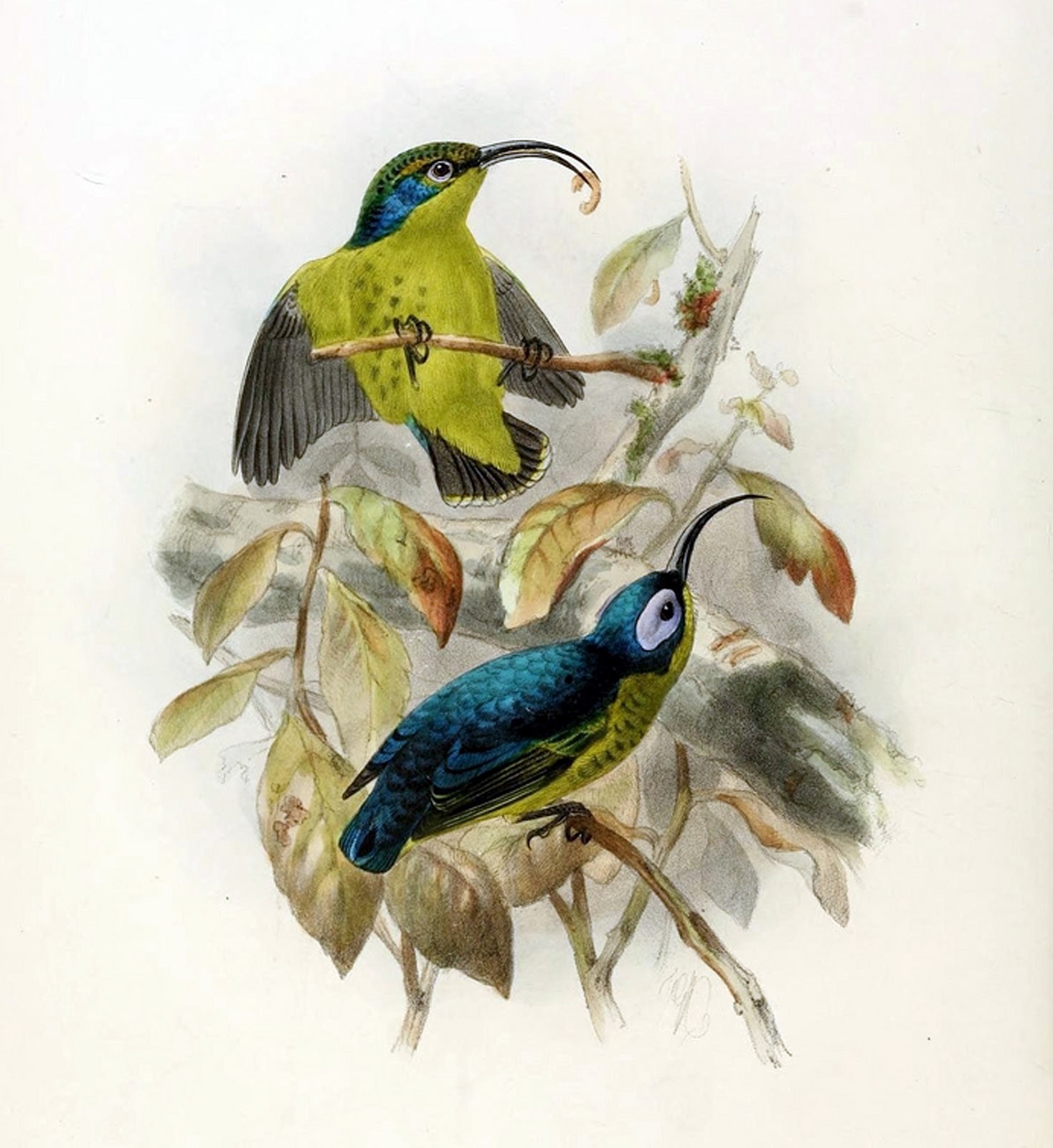 View Full Size Image