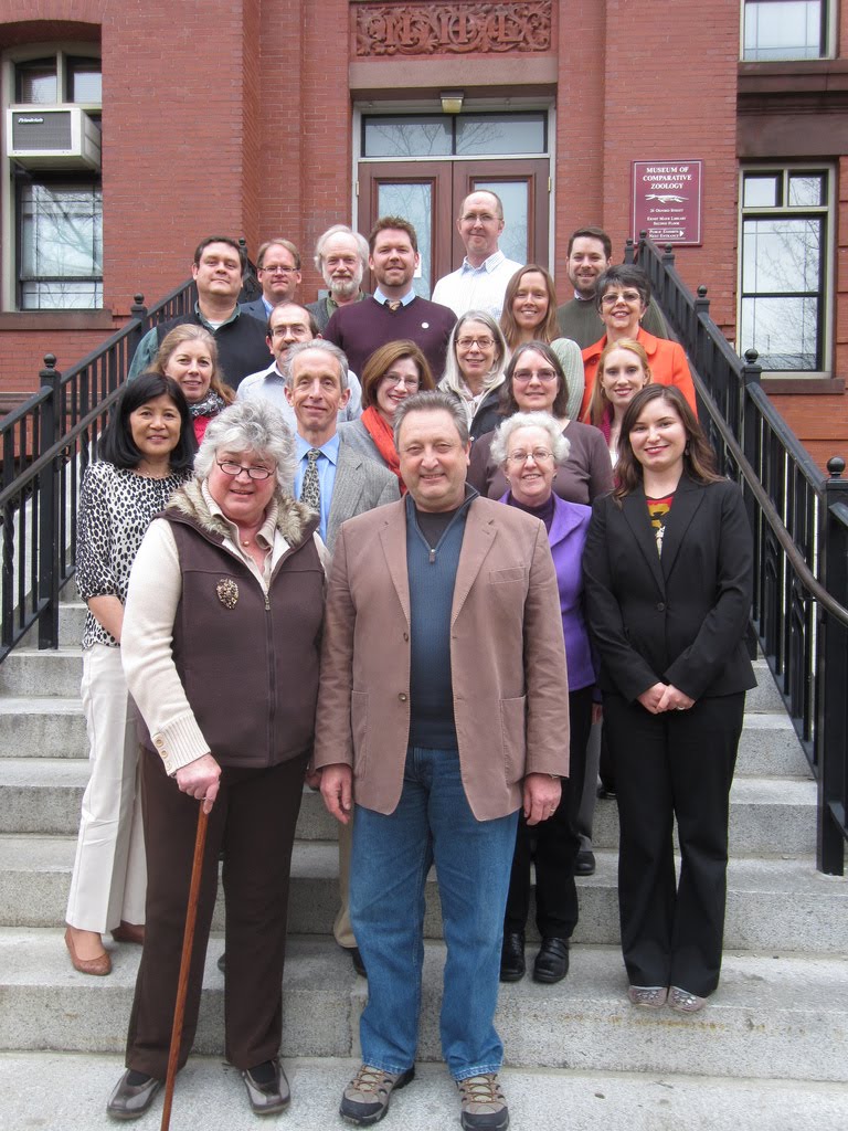 View Full Size Image