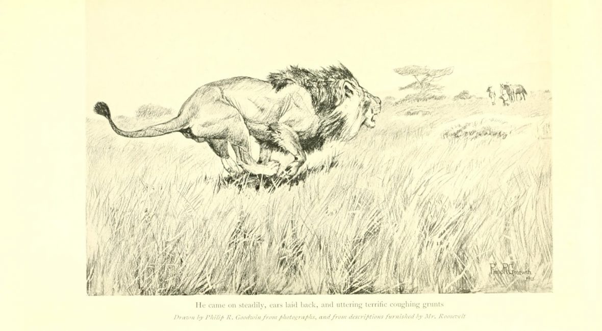 Read the full blog post