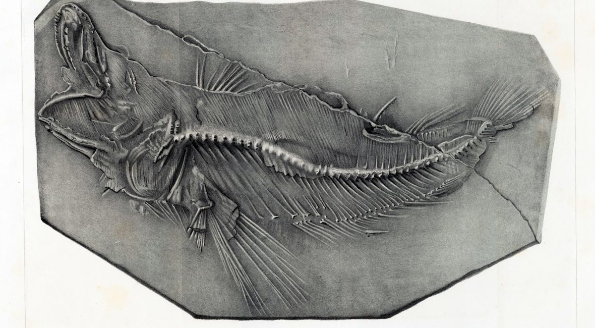 Read the full blog post