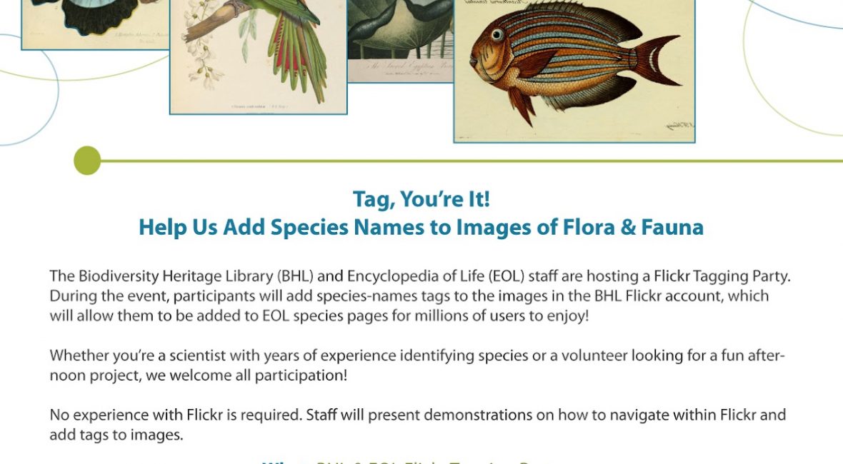 Read the full blog post