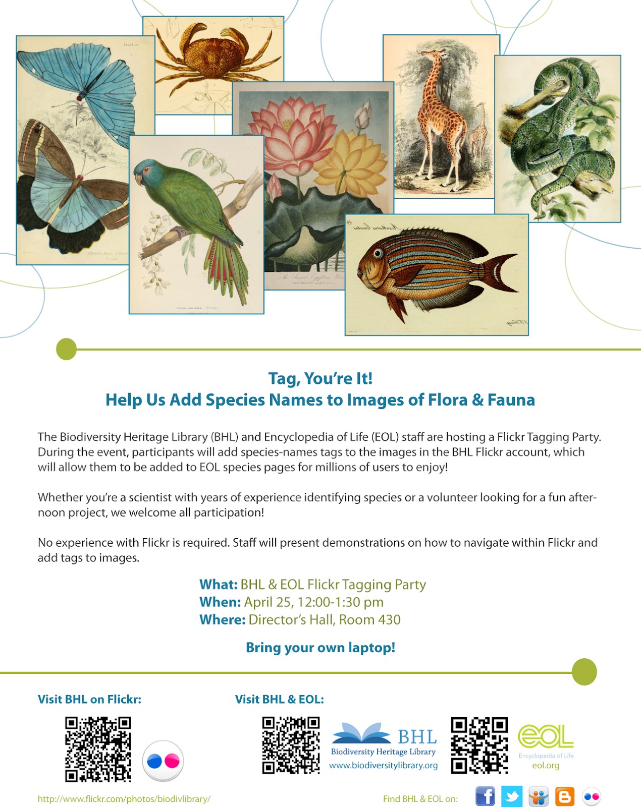 View Full Size Image