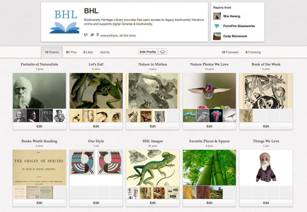 View Full Size Image