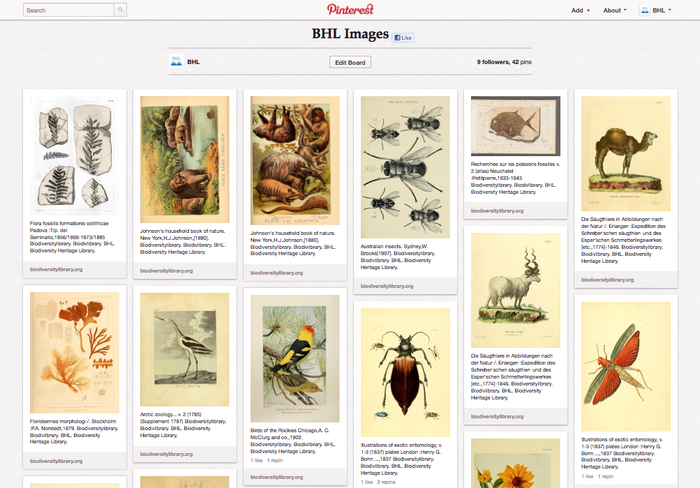 View Full Size Image