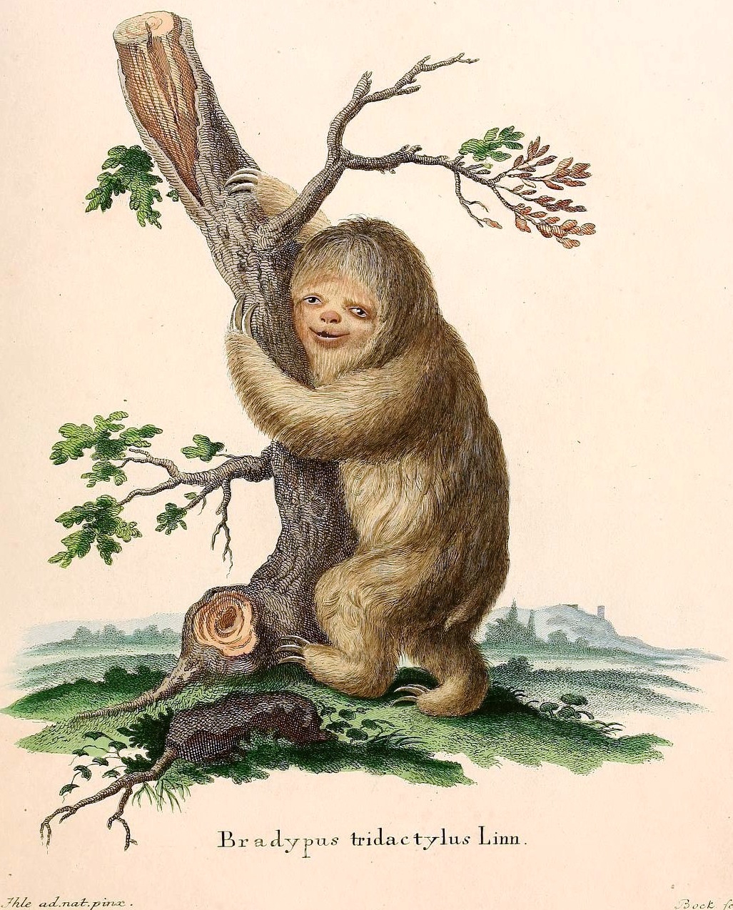 View Full Size Image