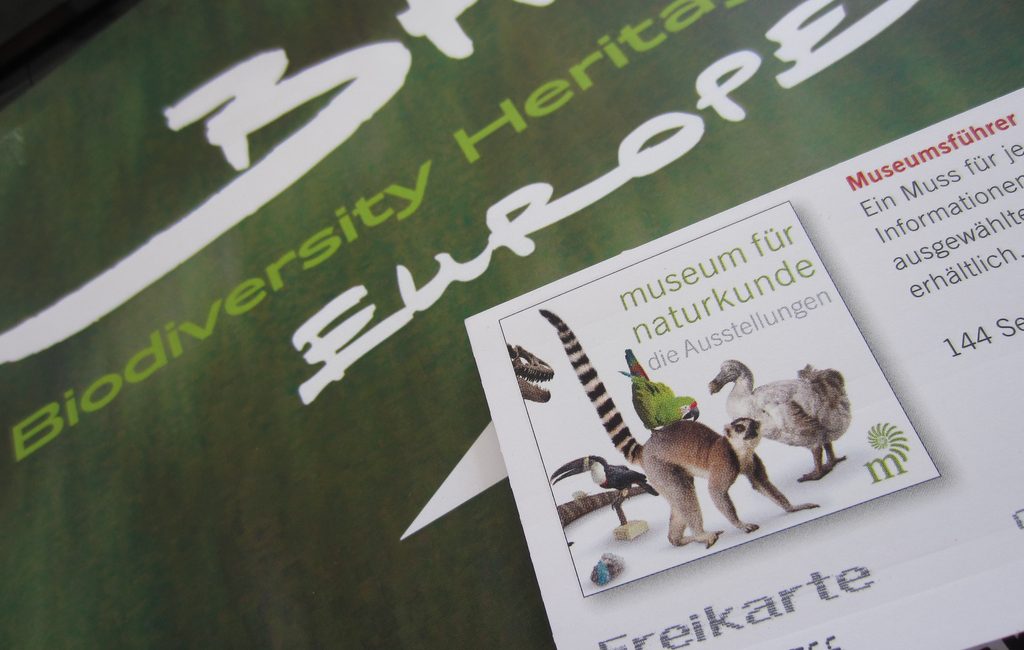 Read the full blog post