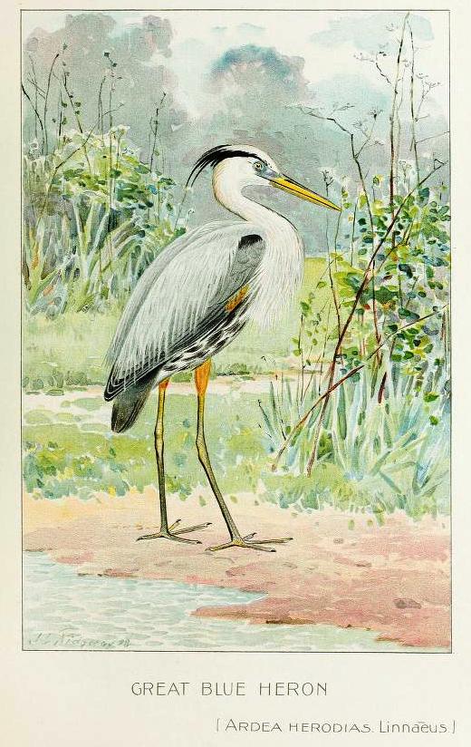 View Full Size Image