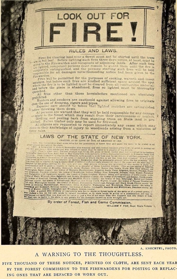 View Full Size Image