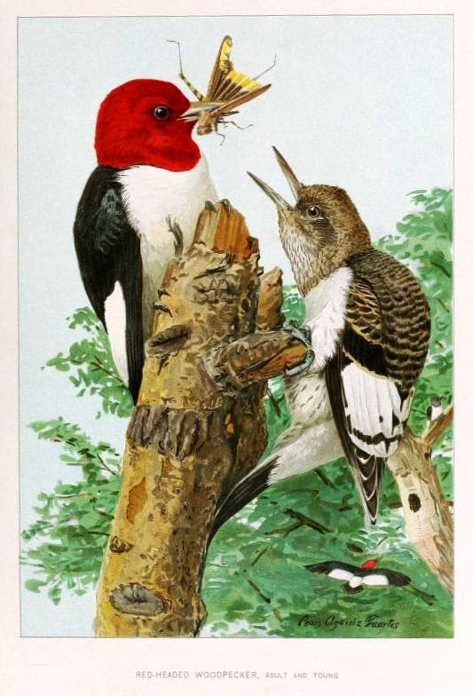 View Full Size Image