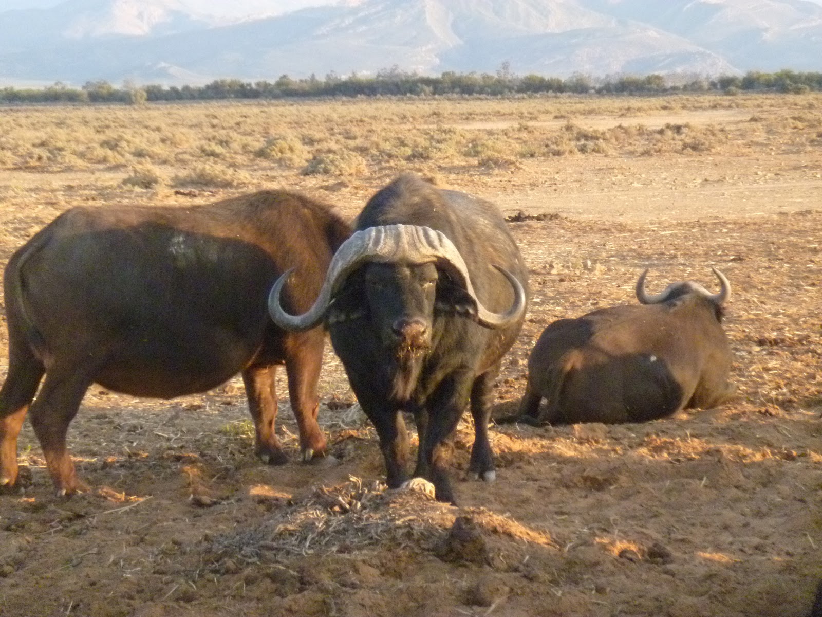 View Full Size Image