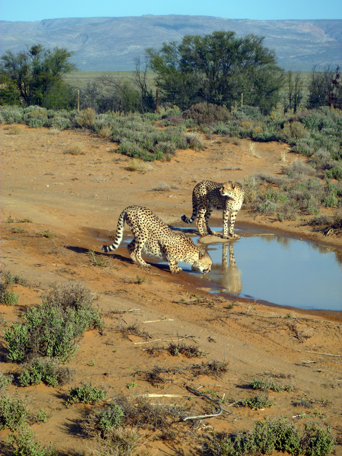 View Full Size Image