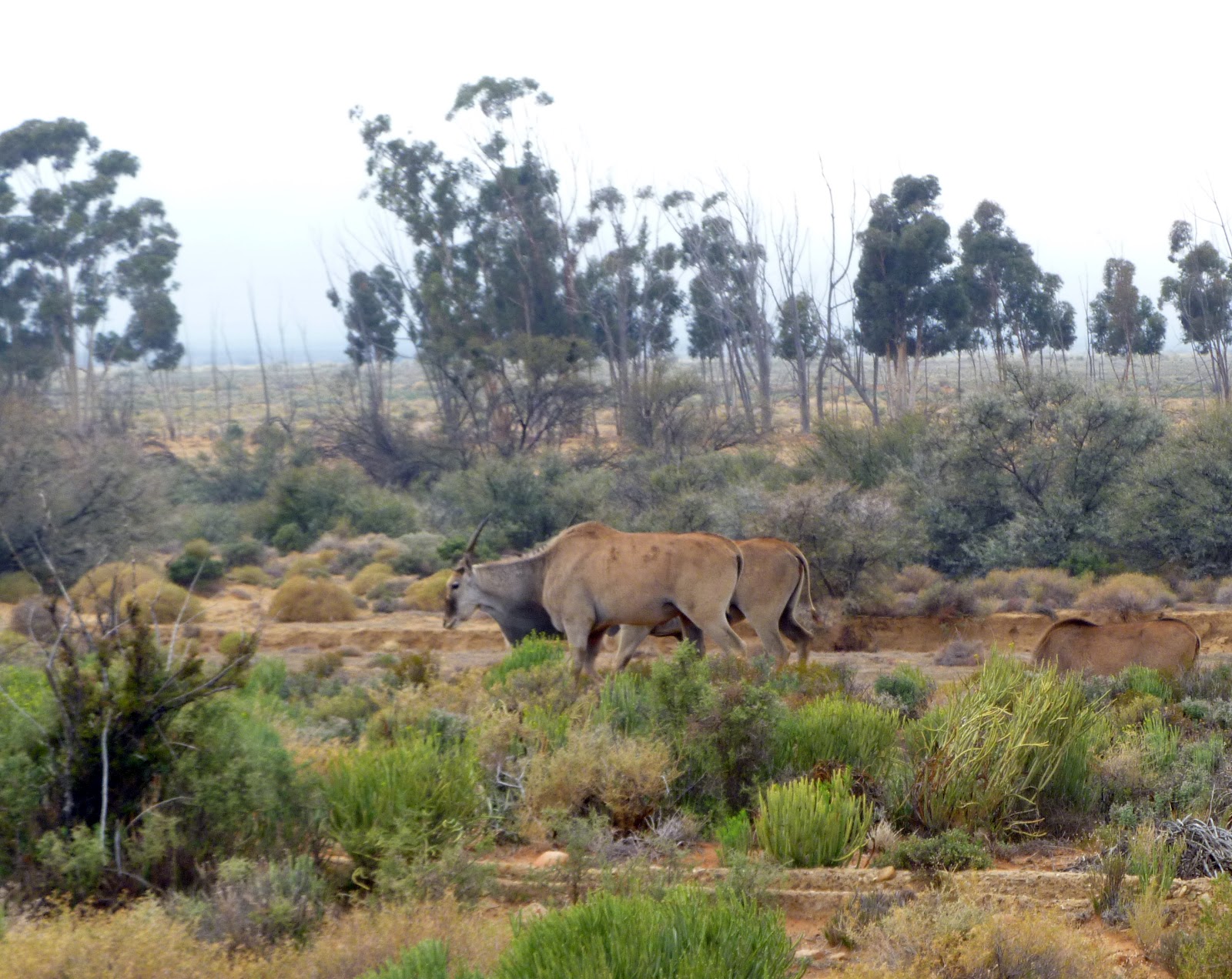 View Full Size Image