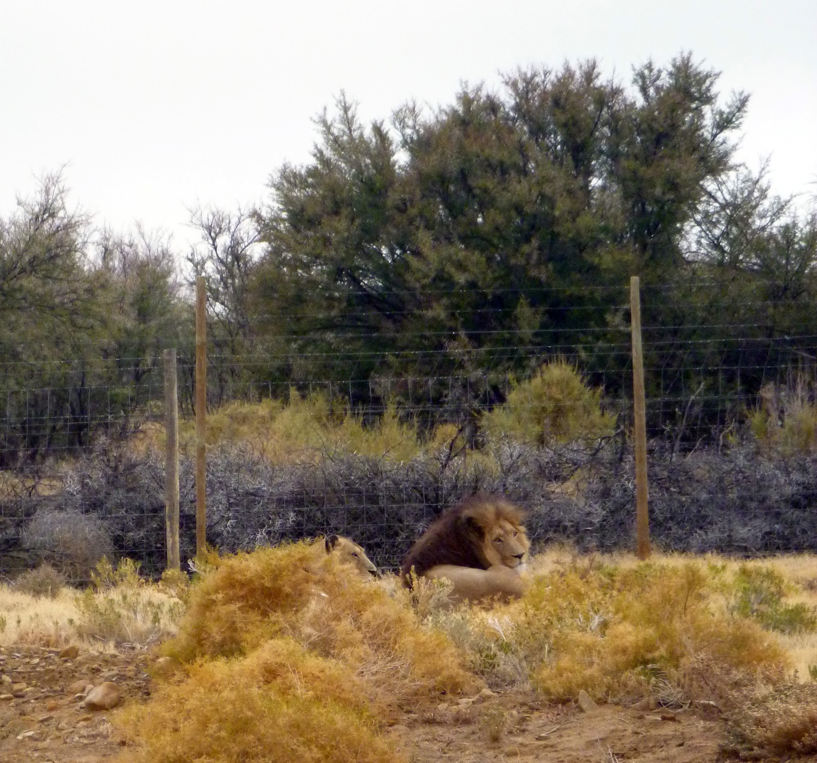 View Full Size Image