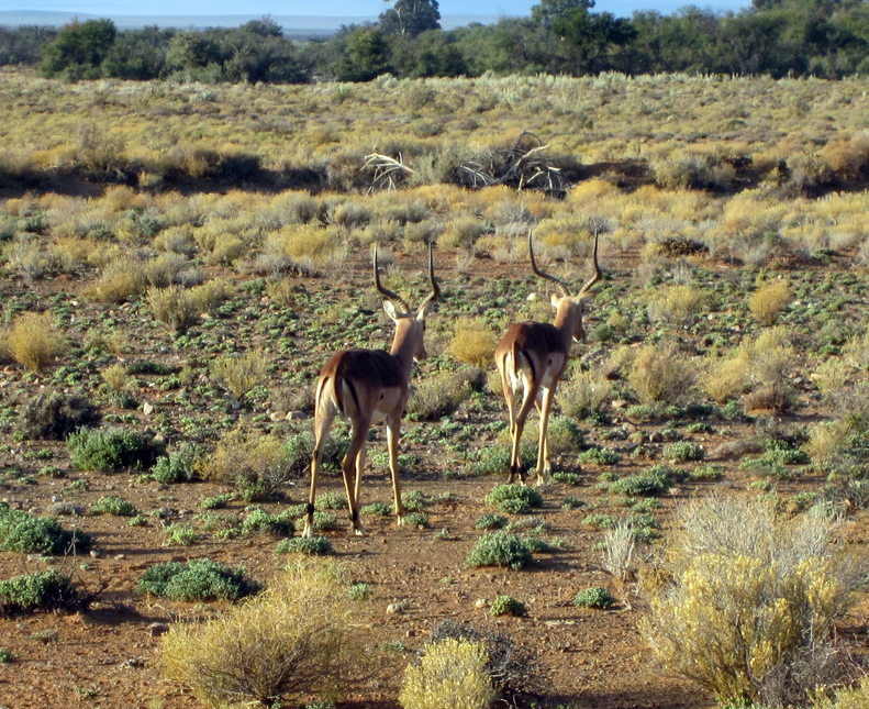 View Full Size Image