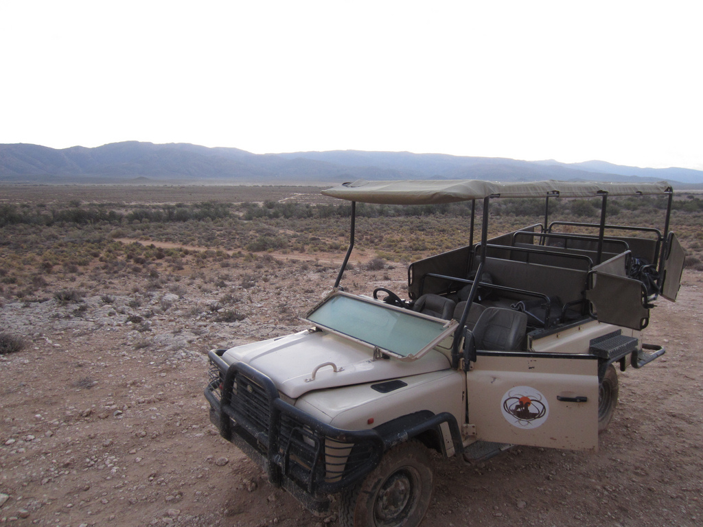 View Full Size Image