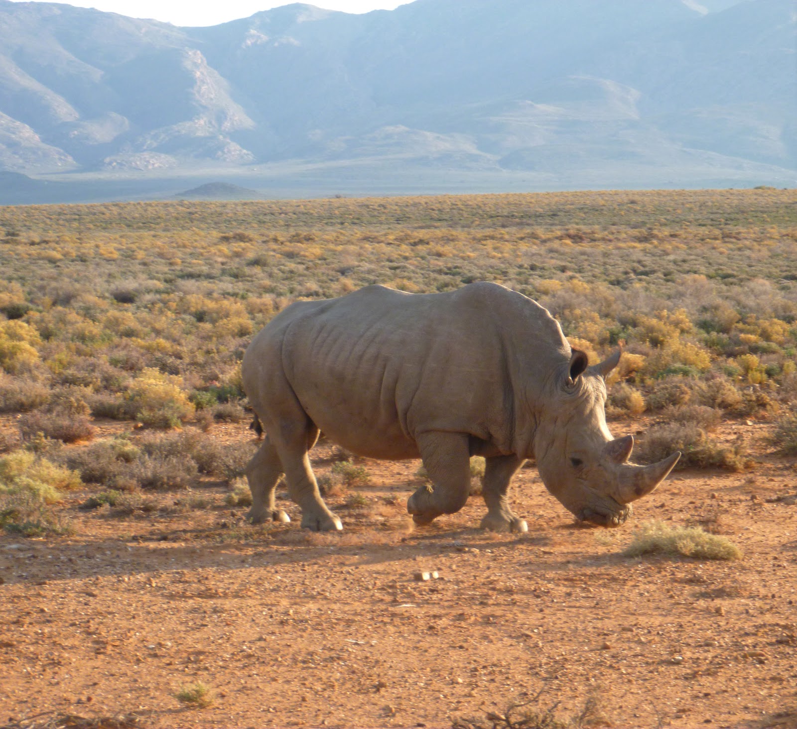 View Full Size Image