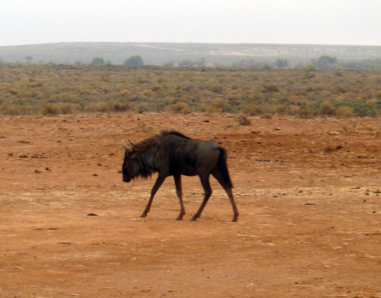 View Full Size Image