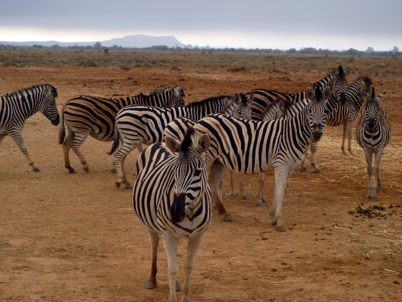 View Full Size Image