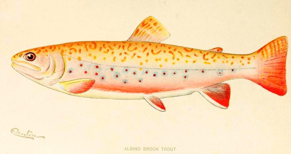 View Full Size Image