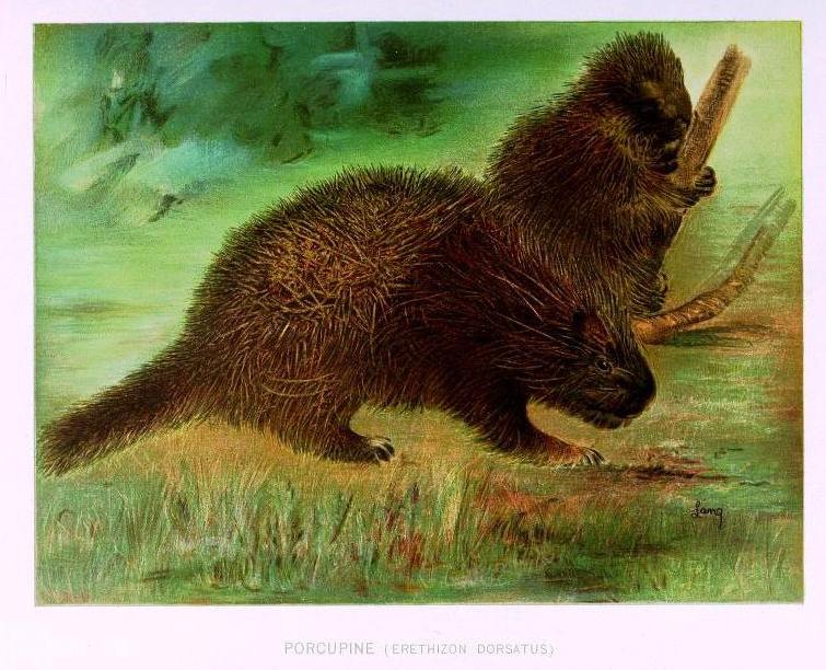 View Full Size Image