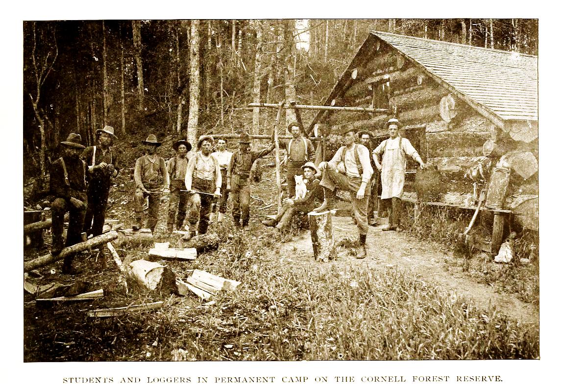 View Full Size Image