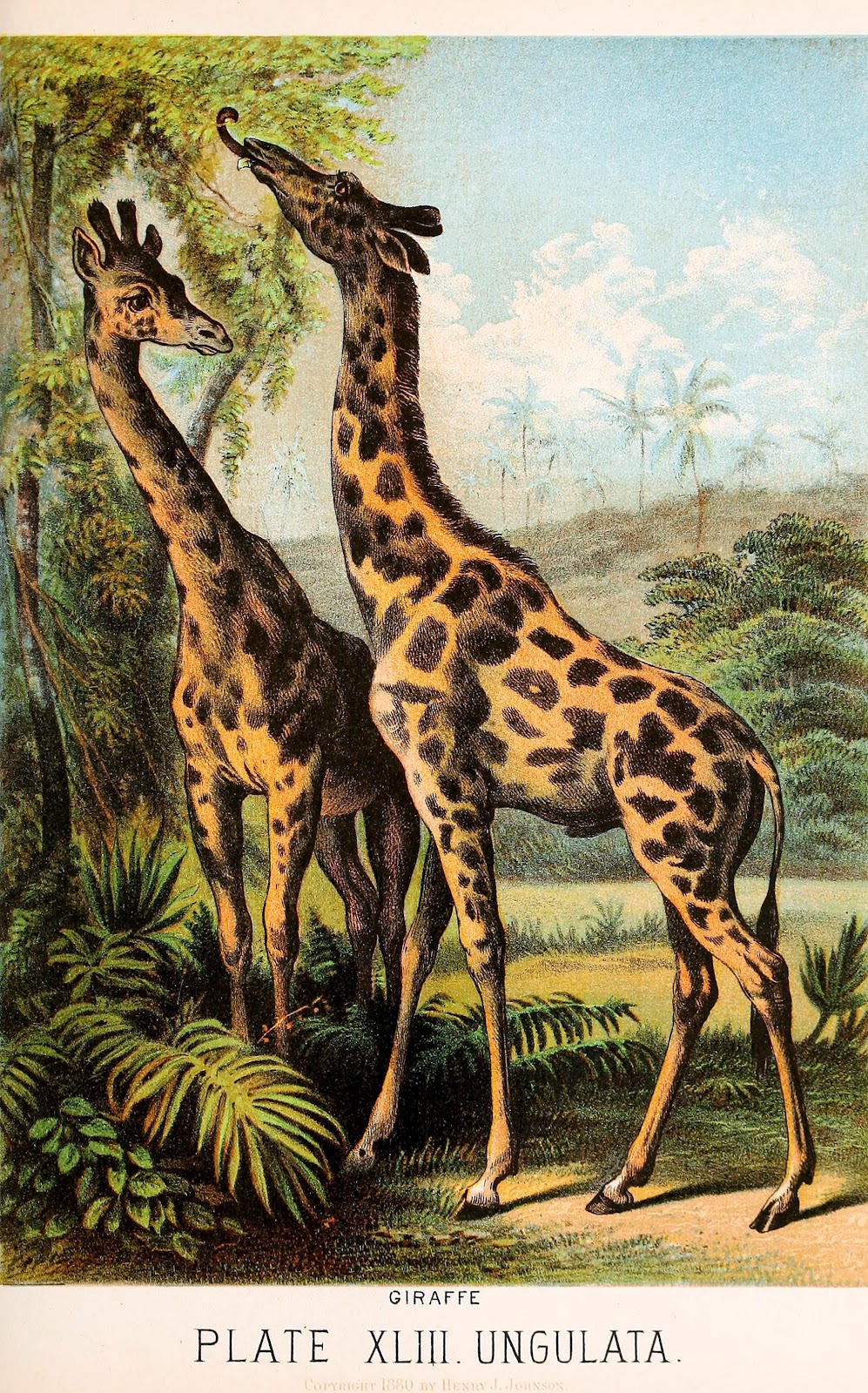 View Full Size Image