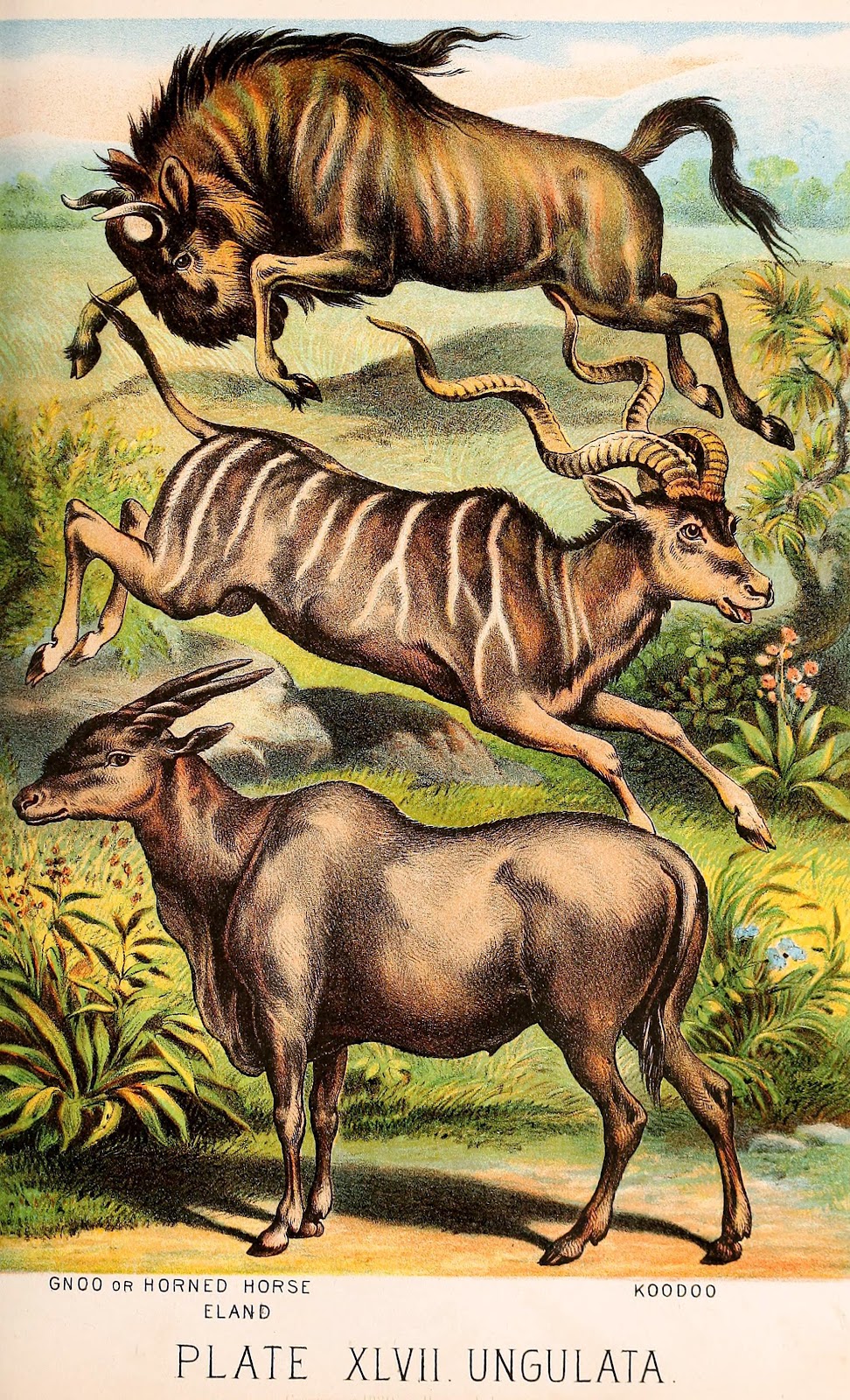 View Full Size Image