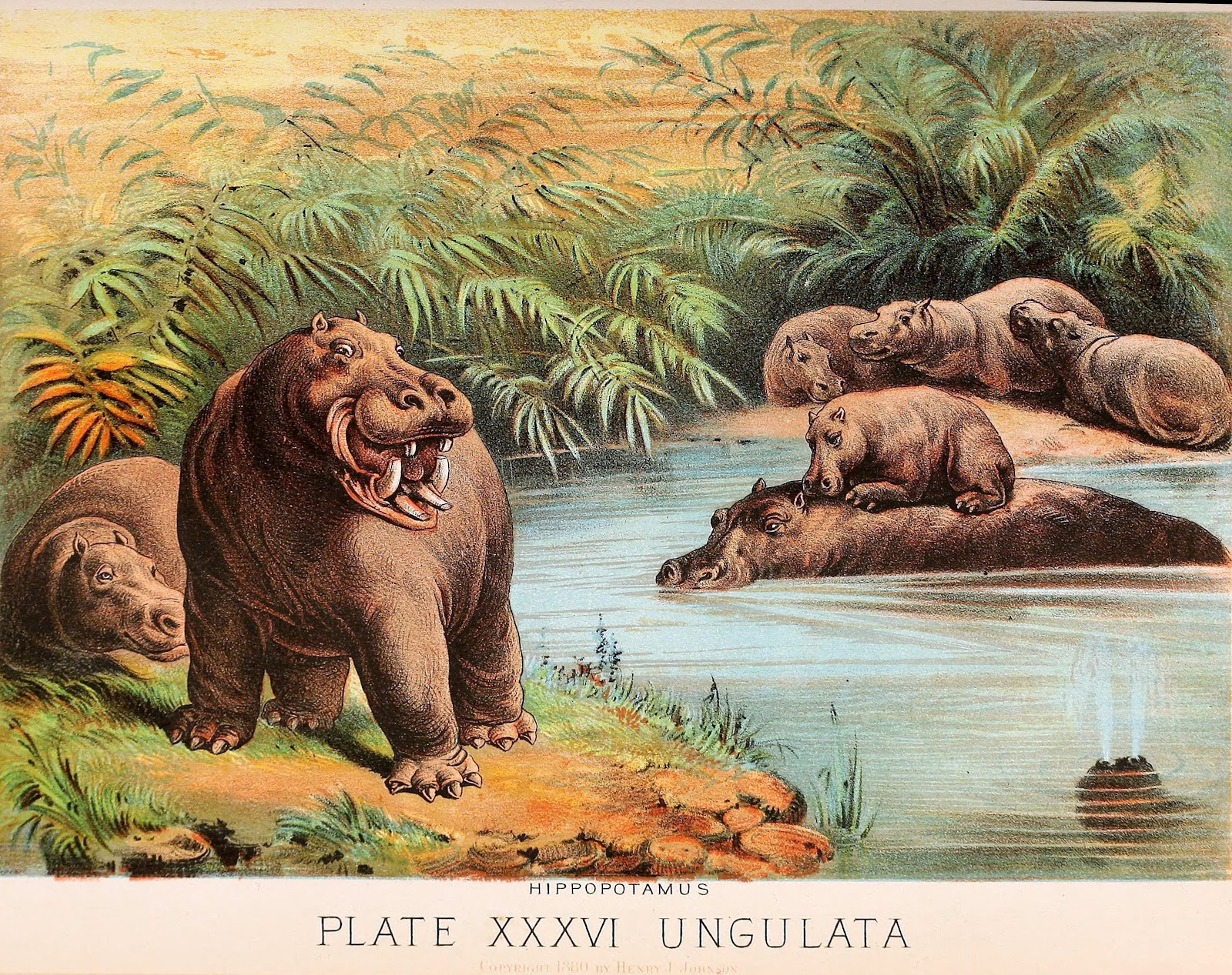 View Full Size Image