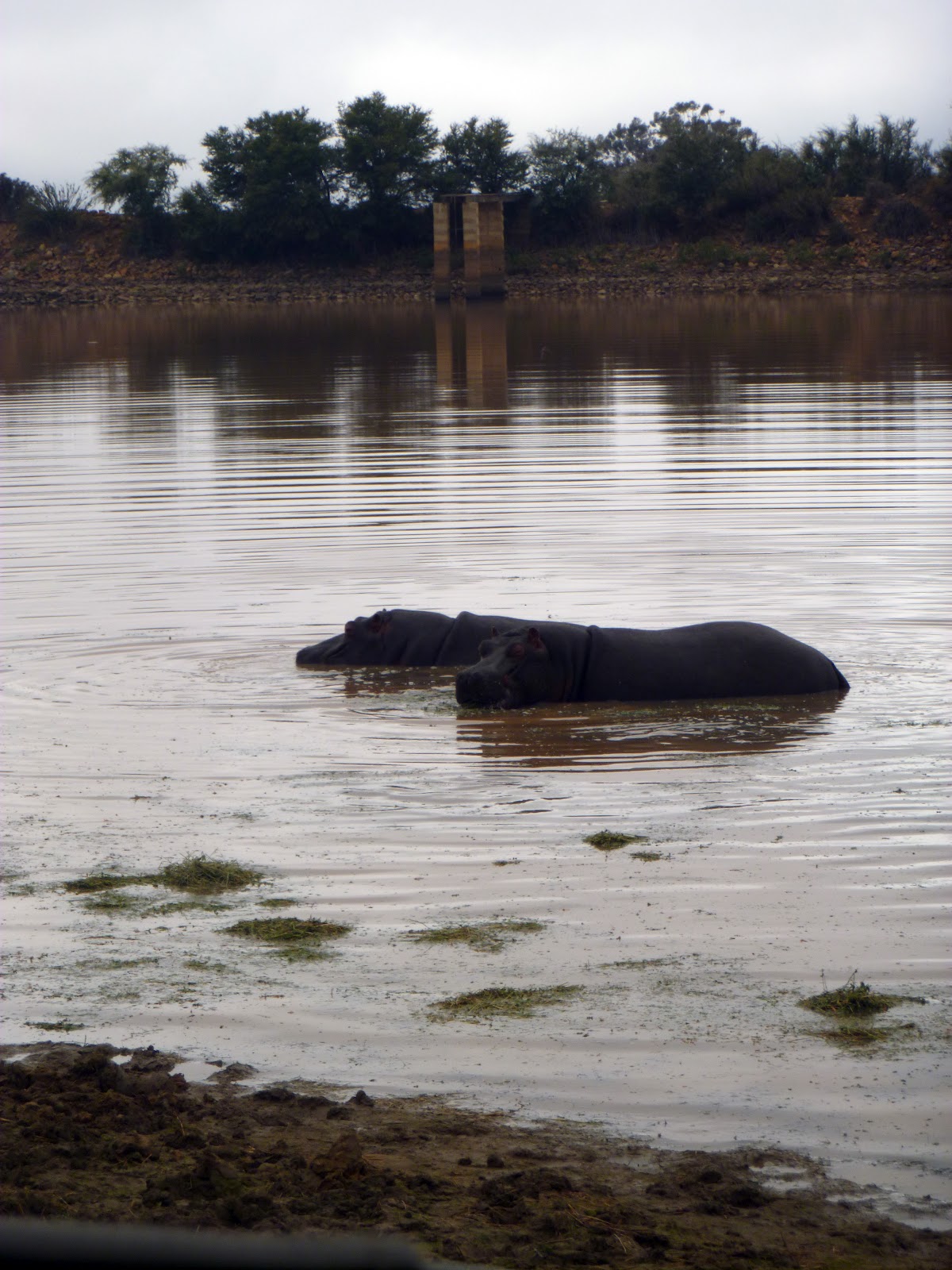 View Full Size Image