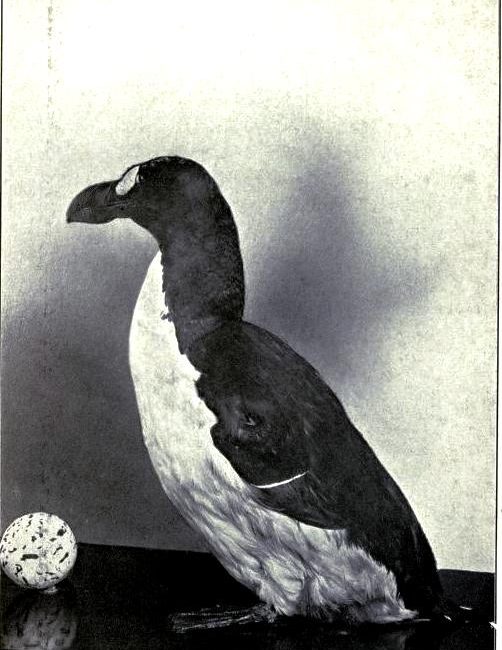 Read the full blog post