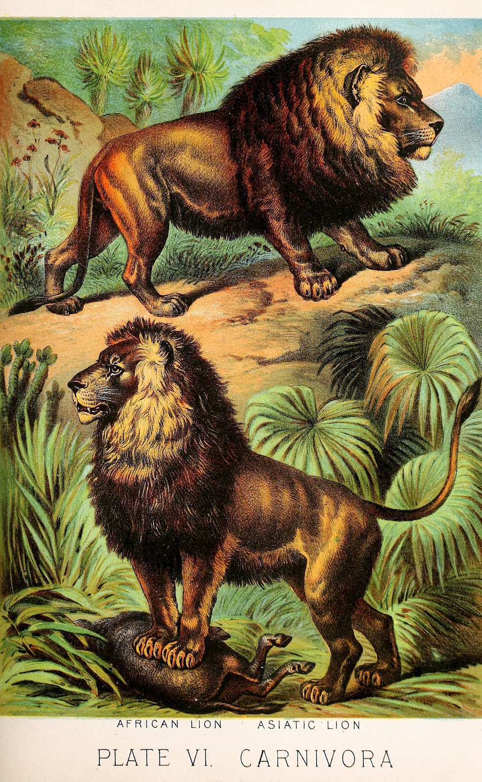 View Full Size Image