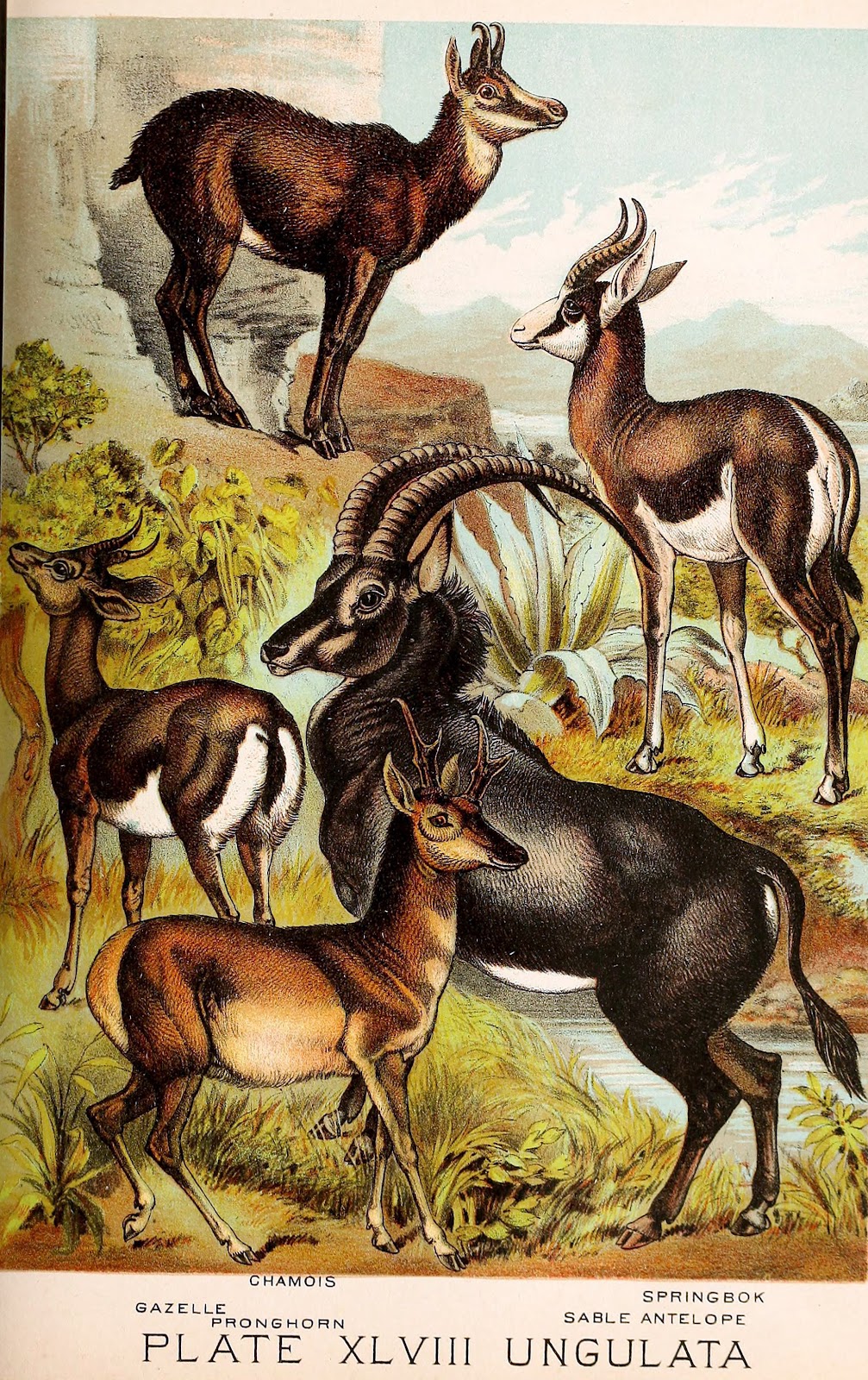 View Full Size Image