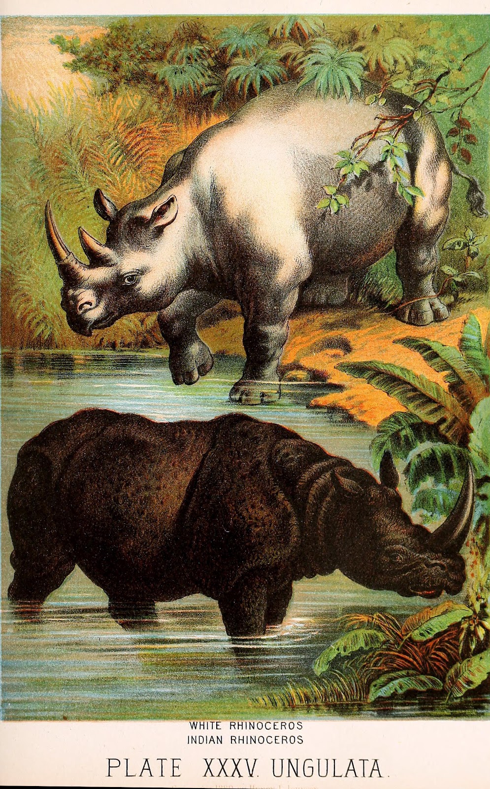 View Full Size Image