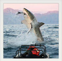 Read the full blog post