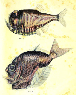 View Full Size Image