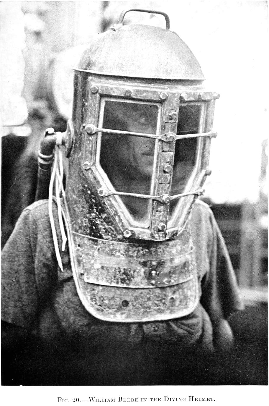 View Full Size Image