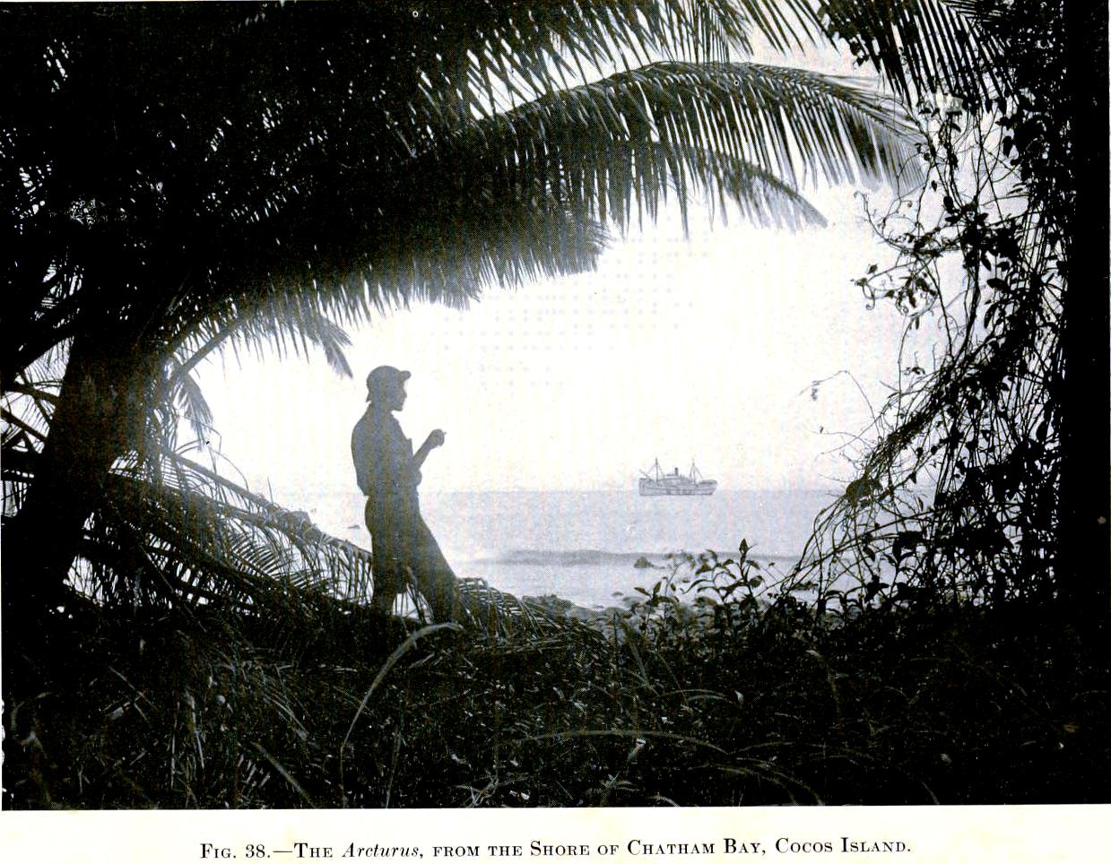 View Full Size Image