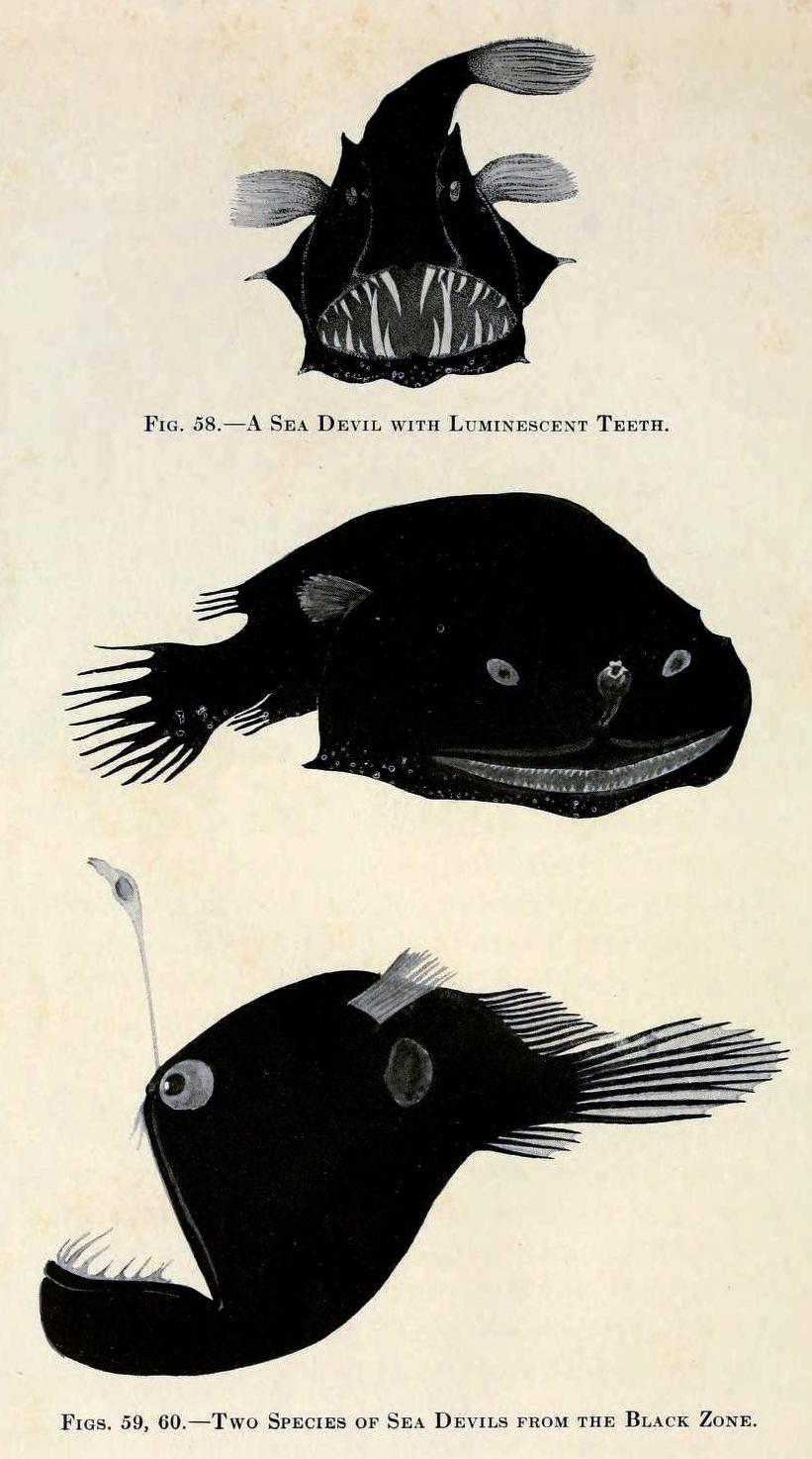 View Full Size Image