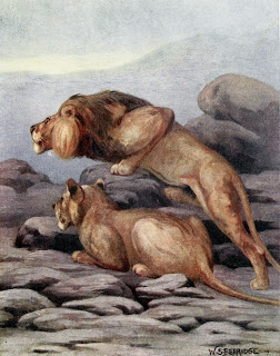 View Full Size Image