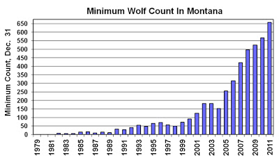 View Full Size Image