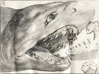 View Full Size Image