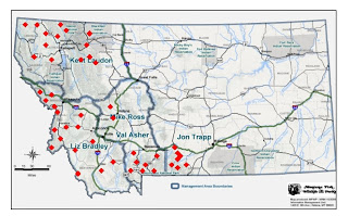 View Full Size Image