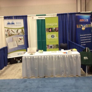 View Full Size Image