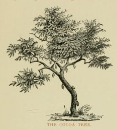 View Full Size Image