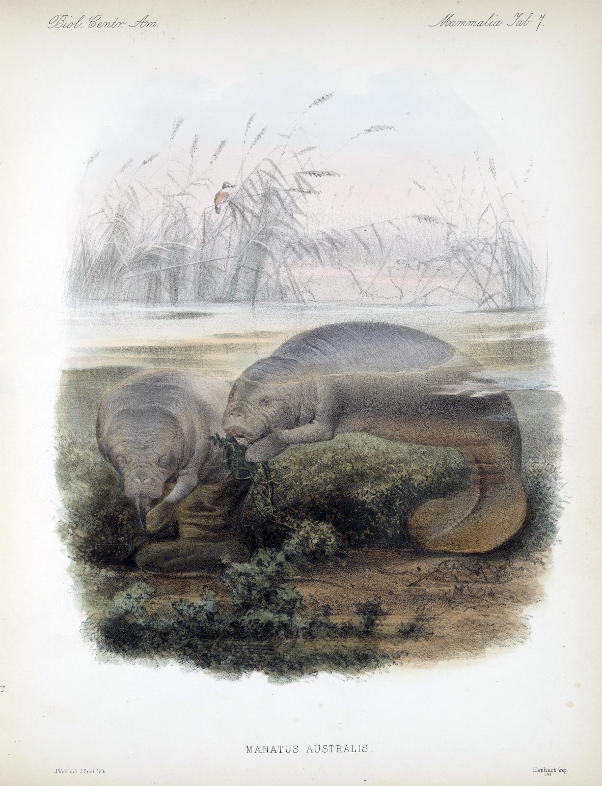 View Full Size Image